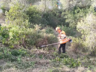 DESBROCE DE PARCELAS EN SEVILLA – LIMPIEZA URGENT
