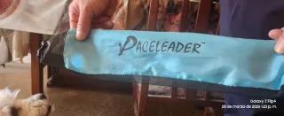 Bastón de senderismo ajustable