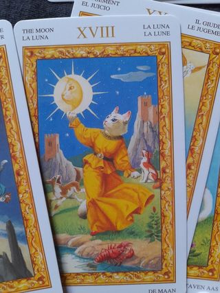 Tarocchi dei Gatti Bianchi, 78 carte
