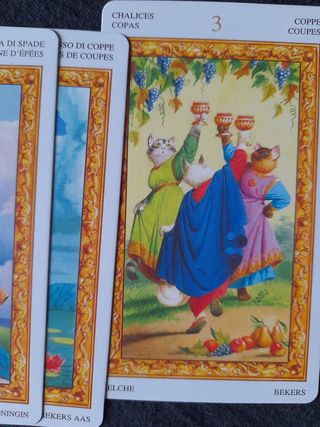 Tarocchi dei Gatti Bianchi, 78 carte