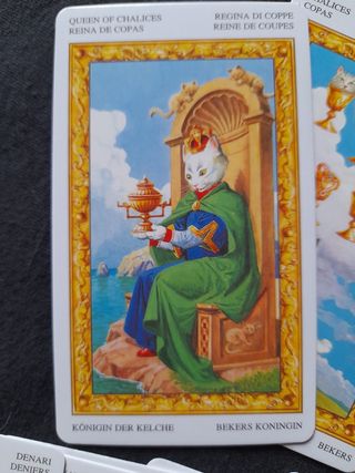 Tarocchi dei Gatti Bianchi, 78 carte