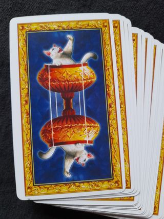 Tarocchi dei Gatti Bianchi, 78 carte