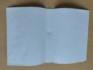 ZOMBIES Mega Drive PAL Completo