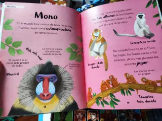 Mi primer libro de animales: Todo lo que quiere...