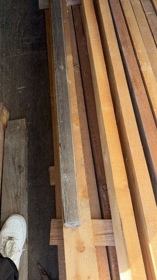 Maderas de pino de un solo uso