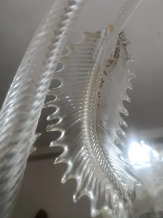 Lampadario Cesare Toso Vetro murano Bianco, oro