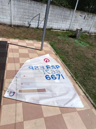 Optimist Vela Ligera