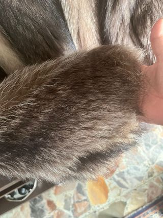 Pelliccia donna tg 44/46