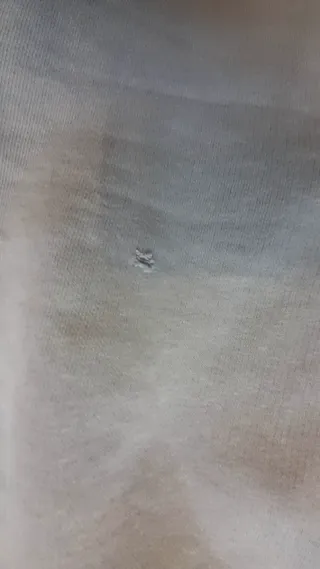 Set tuta Moncler verde