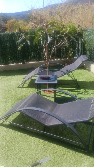 Due sdraio da giardino