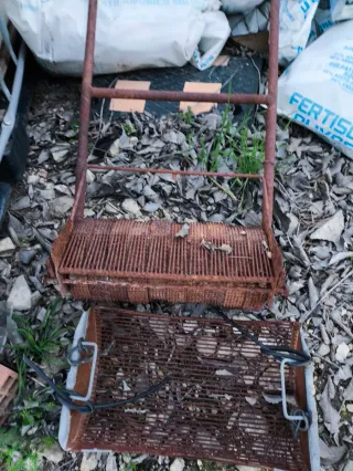 Recogedor de aceitunas