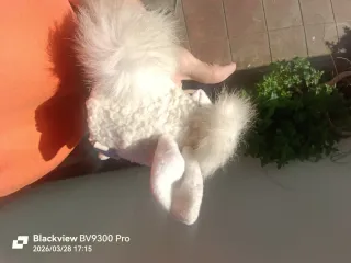 Furby Original Tiger