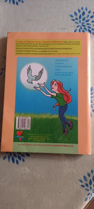 Amigos del espíritu santo. Catequesis de confir...