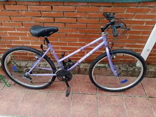 Bicicleta Morada Mentor MTB