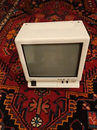 Monitor Bitron Video B/N (2)