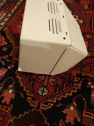 Monitor Bitron Video B/N (2)