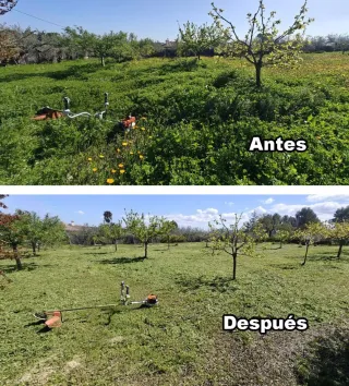 Servicio Desbroce de campos y parcelas