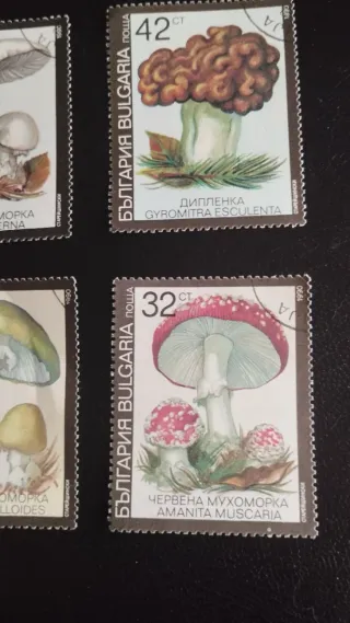 Sellos Bulgaria Hongos - lote 256