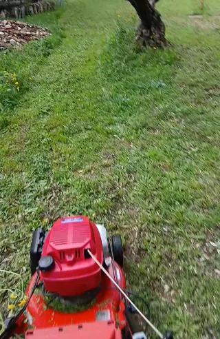 Cortacésped Sterkins 41 HT Rojo