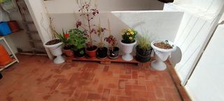 Piso en venta en Pont Nou - Corazón de Jesús en Elche