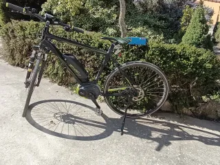 BH Emotion Cross Xenon