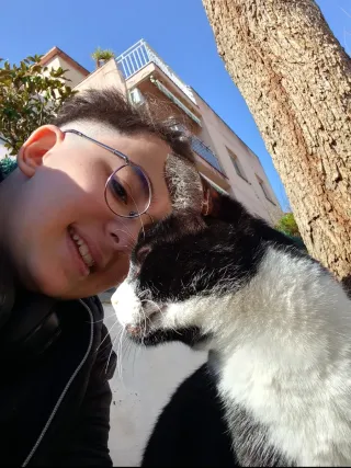 Busco trabajo como paseador de perros / cuidador