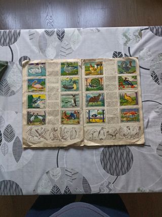 Album Antiguo Animales del Mundo