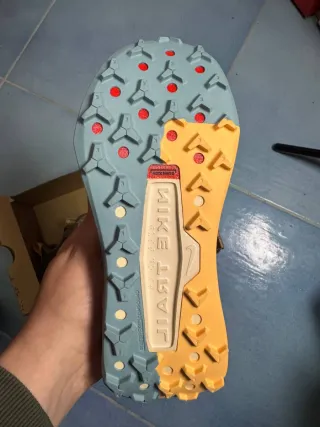 Nike Wildhorse 10 Scarpe da Trail Grigio Arancio