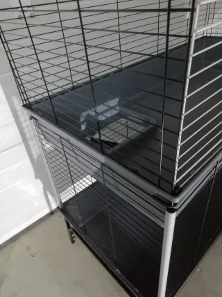 Jaula 2 pisos con rampa