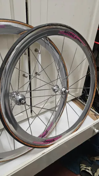 ⭕️ SHAMAL TRACK / PISTA ⭕️