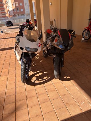 Derbi GPR 50