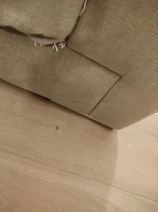 Limpieza de Sofá