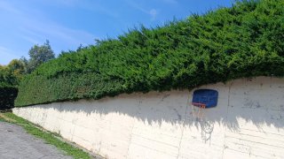 Se hacen trabajos de jardinería en todo bizkaia