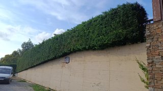 Se hacen trabajos de jardinería en todo bizkaia