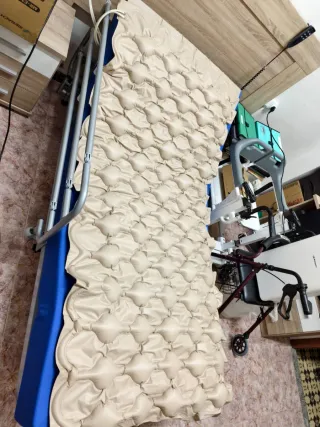 Cama articulada eléctrica con colchón y barreras