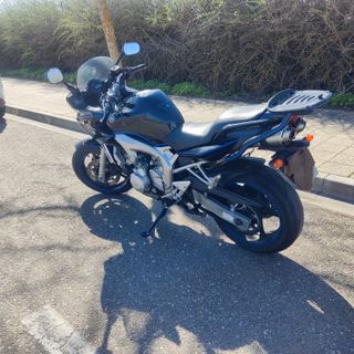 Yamaha FZ6s