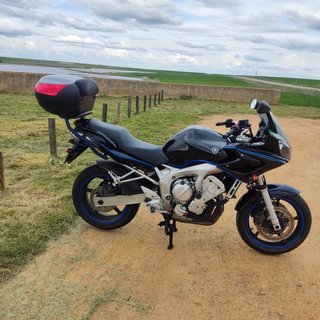 Yamaha FZ6s