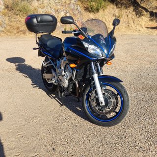 Yamaha FZ6s
