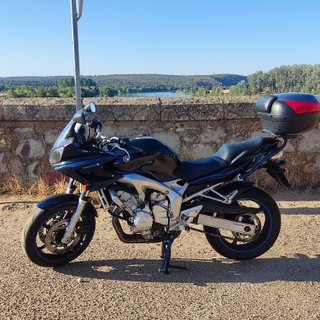 Yamaha FZ6s