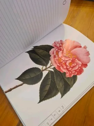 Address Book, The Royal Horticultural Society