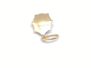 colgante oro 18k