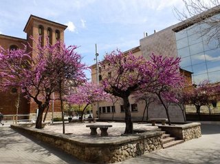 Oficina en alquiler en Almeda - El Corte Inglés en Cornellà de Llobregat