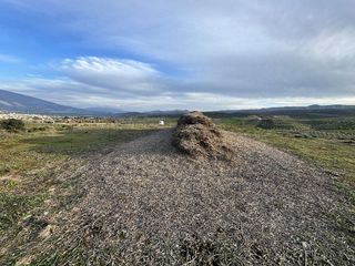 Terreno en venta en Padul