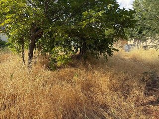 Solar en venta en Almodóvar del Campo