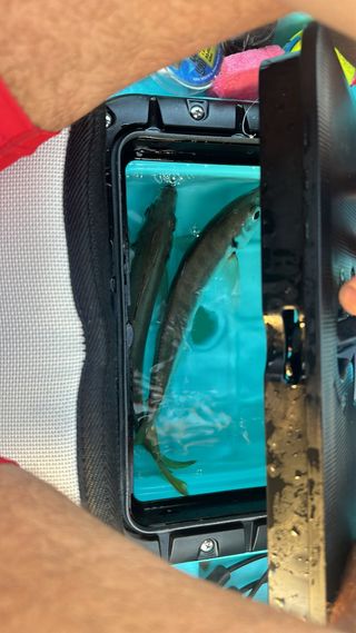 Kayak pedales Galaxy Alboran FX 2023