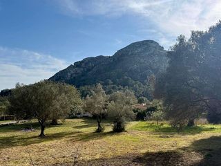 Casa rural en alquiler en Ciutat d'Alcúdia en Alcúdia