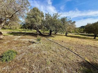 Casa rural en alquiler en Ciutat d'Alcúdia en Alcúdia