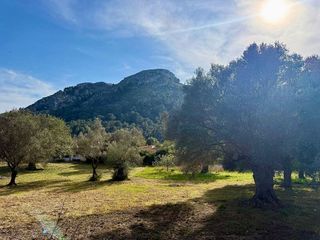 Casa rural en alquiler en Ciutat d'Alcúdia en Alcúdia