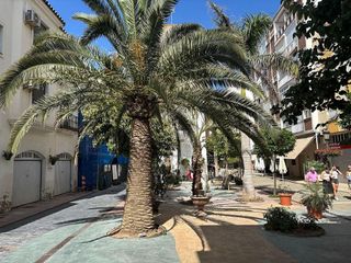 Local comercial en alquiler en Centro Urbano en Estepona