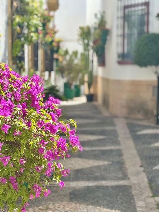 Local comercial en alquiler en Centro Urbano en Estepona